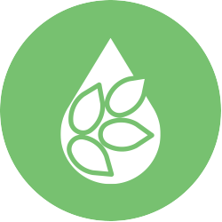 Queen Natural icon 1